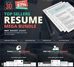 30套个人简历模板大合集：Top Sellers Resume Mega Bundle